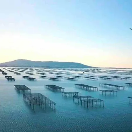 Oasis Cove Cote Etang, Acces Baignade, Proche Holiday home *