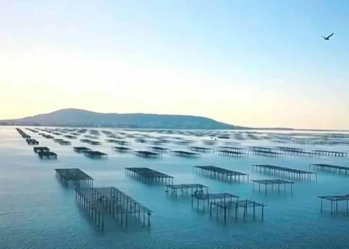 Oasis Cove Cote Etang, Acces Baignade, Proche בית נופש *